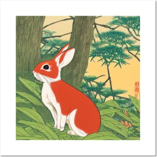 The Soft and Silky Sweetheart Mini Rex Brown Rabbit Bunny Posters and Art